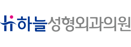 haneul plastic surgery LOGO